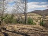 Listing Photo 144604